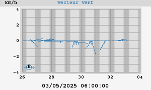 Wind Vector