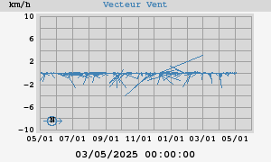 Wind Vector